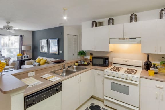 Beautiful view of Apartment Rentals With Yamaha Kitchen Entertainment Functionality